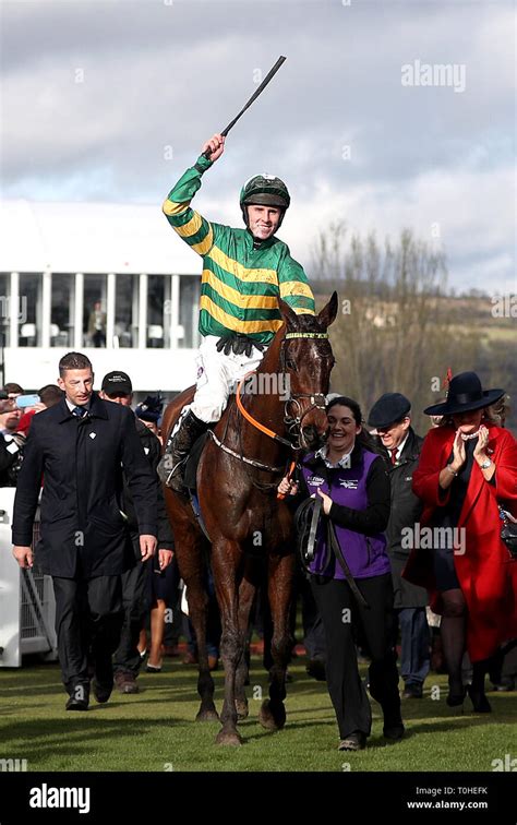 cheltenham festival champion hurdle